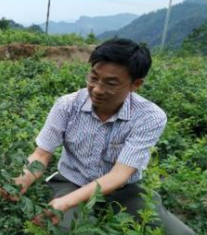 张友胜博士