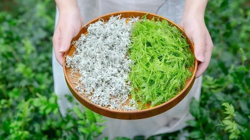 藤茶提取物