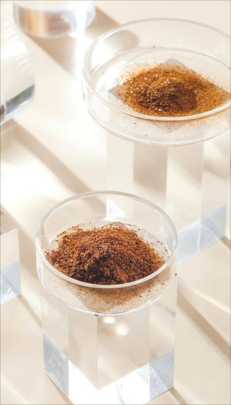 金花黑茶提取物原图