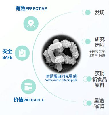 AKK 菌说明图